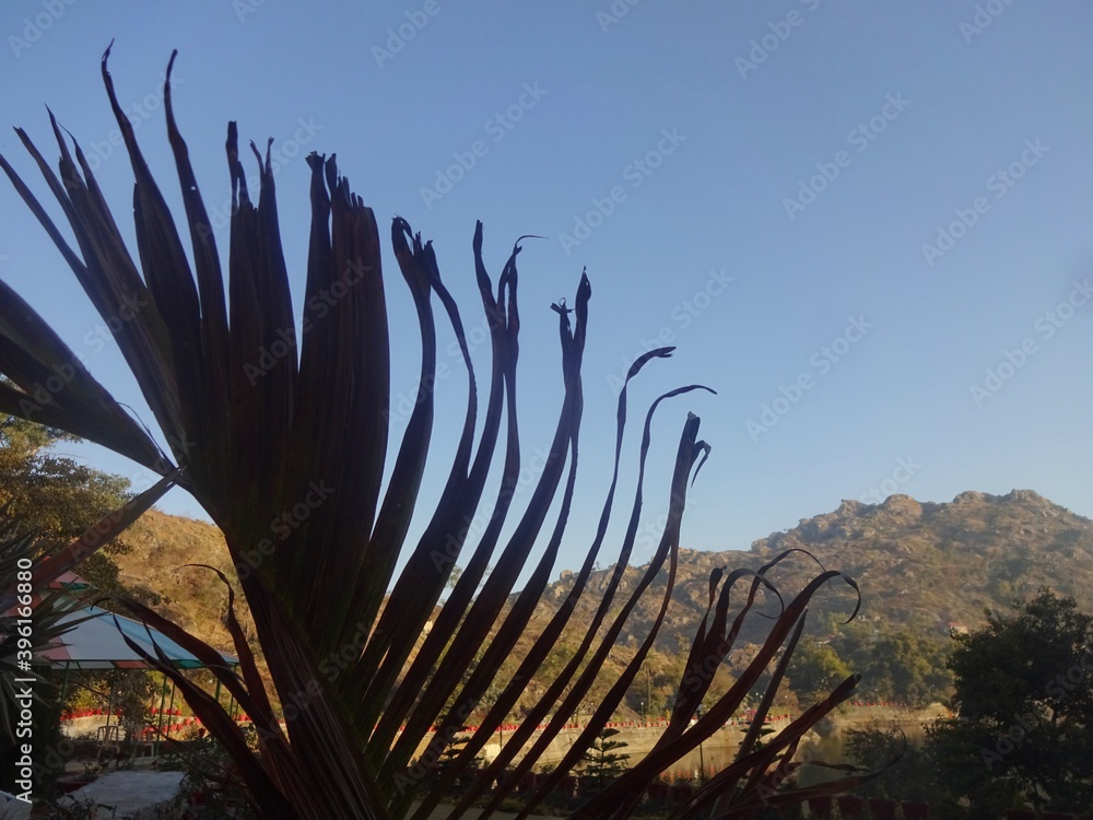 beauty of mount abu hill station,rajasthan,india