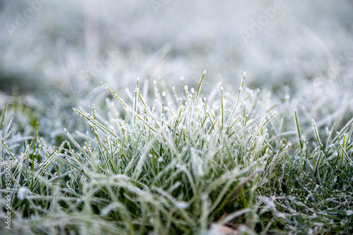 Nahaufnahme eines Grasbüschels mit Eiskristallen und Raureif bedeckt als Makro Hintergrund © Maximilian D.