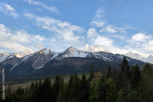 Colorful morning scene in the Carpathians, nature