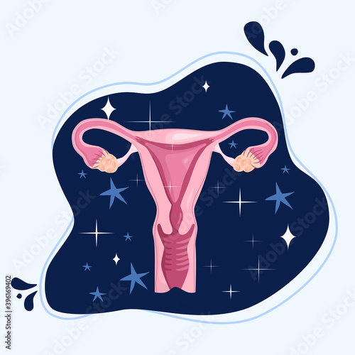 Healthy female reproductive system on cosmic background.Medical poster.Uterus and cervix anatomy.Ovary with eggs in space.Internal organ.Stars and glares around.International women day and girl power