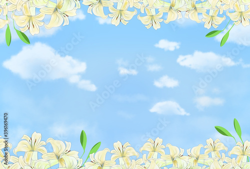 手書きの百合(ゆり)のきれいな花と空の背景・フレームイラスト素材