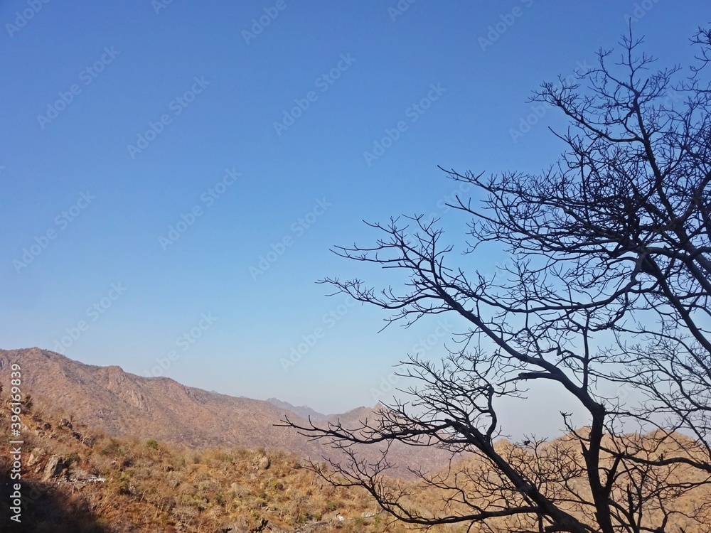 beauty of mount abu hill station,rajasthan,india beauty of mount abu hill station,rajasthan,india