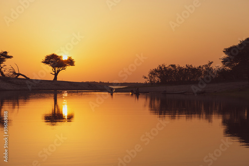 Bright and orange sunset with silhouette tree in an Amazon river. Tree silhouetted against a setting sun in the Brazilian Amazon rainforest. photo