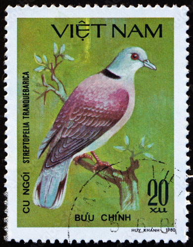 Postage stamp Vietnam 1981 red collared dove photo
