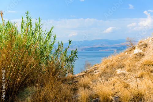 Fototapeta Naklejka Na Ścianę i Meble -  Panoramic view of Sea of Galilee, Kinneret, Lake Tiberias. View from Galilee Mountains. Israel. High quality photo