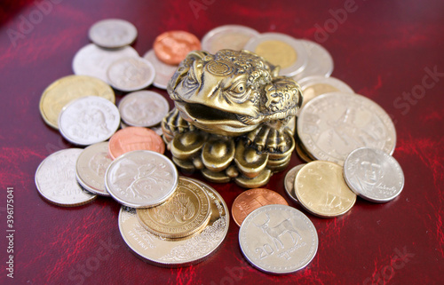 Money frog on the world’s coins.