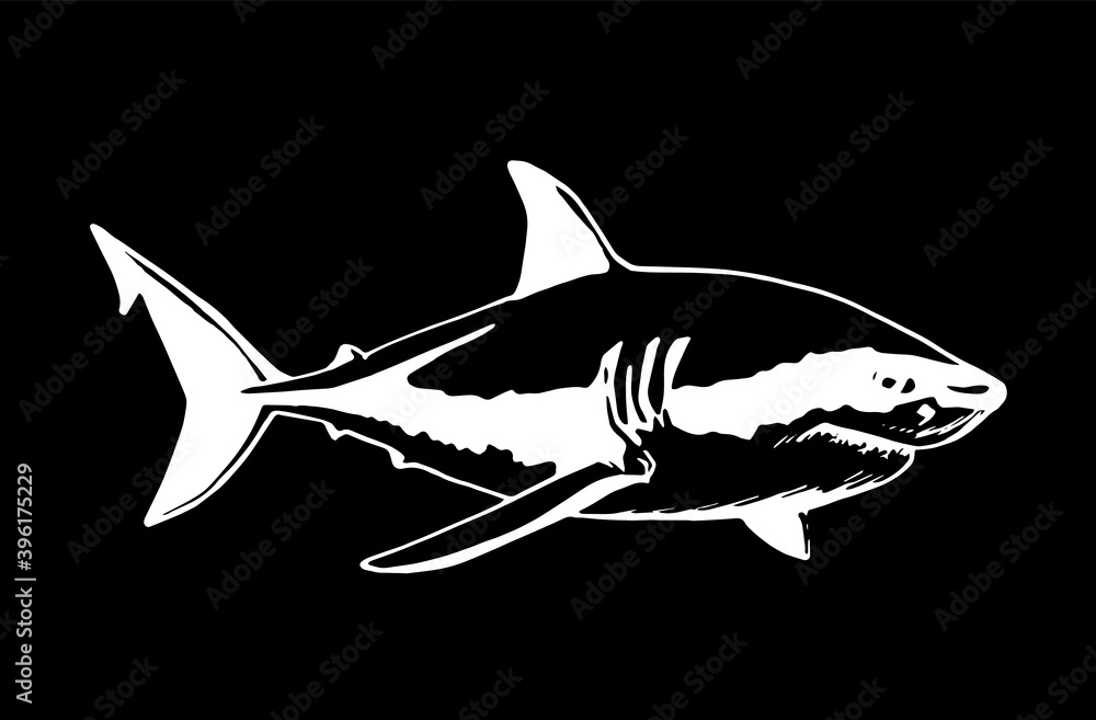 Obraz premium Vector hand-drawn shark on black background, illustration