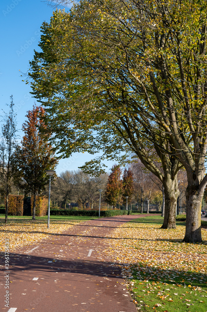 Obraz premium Transportation in the Netherlands, special bicycle lanes for safe cycling in Brabant in sunny autumn day