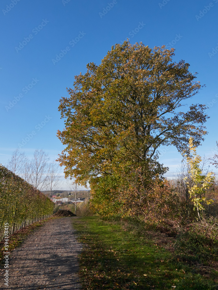 Autumn in countryside Autumn in countryside