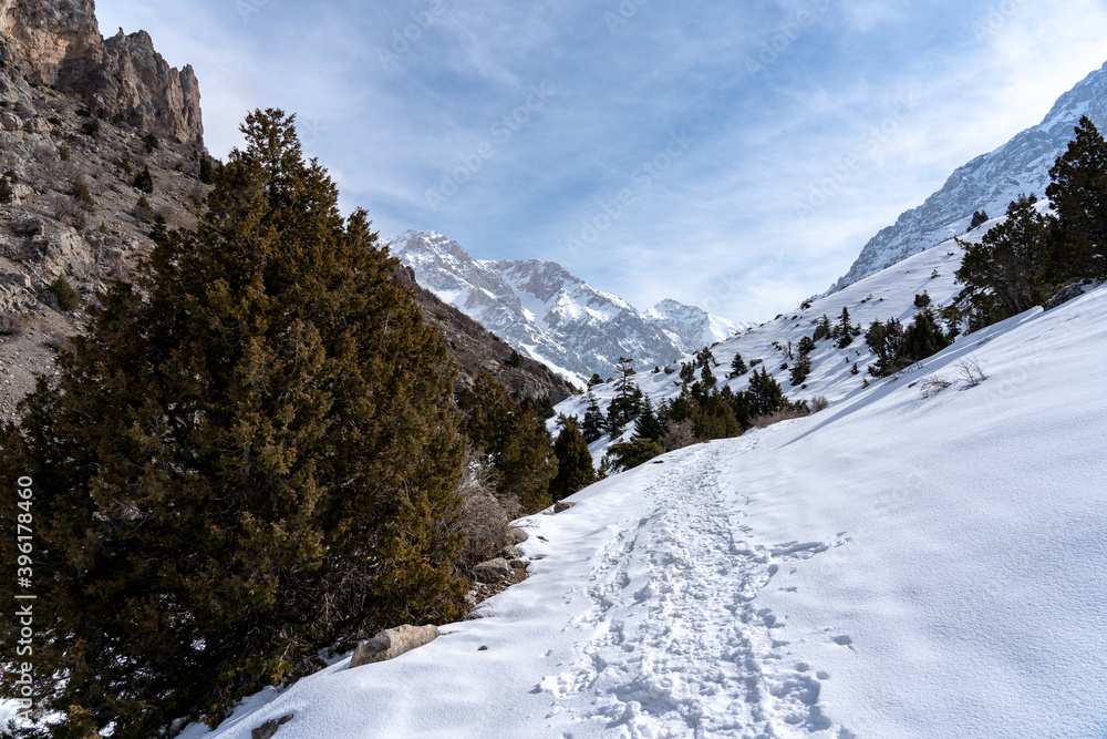 Fototapeta premium snow covered mountains in winter
