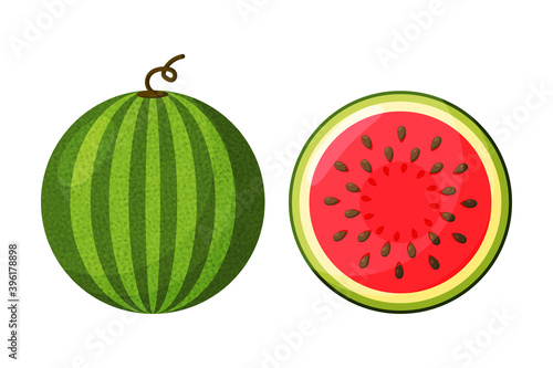 Watermelon vector. Watermelon with red flesh is halved isolate on a white background.