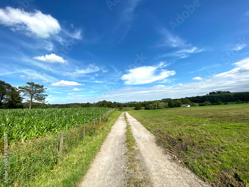 Agricultural land, with a track, leading to a farm, on a hot summers day in, Bolton by Bowland, Clitheroe, UK