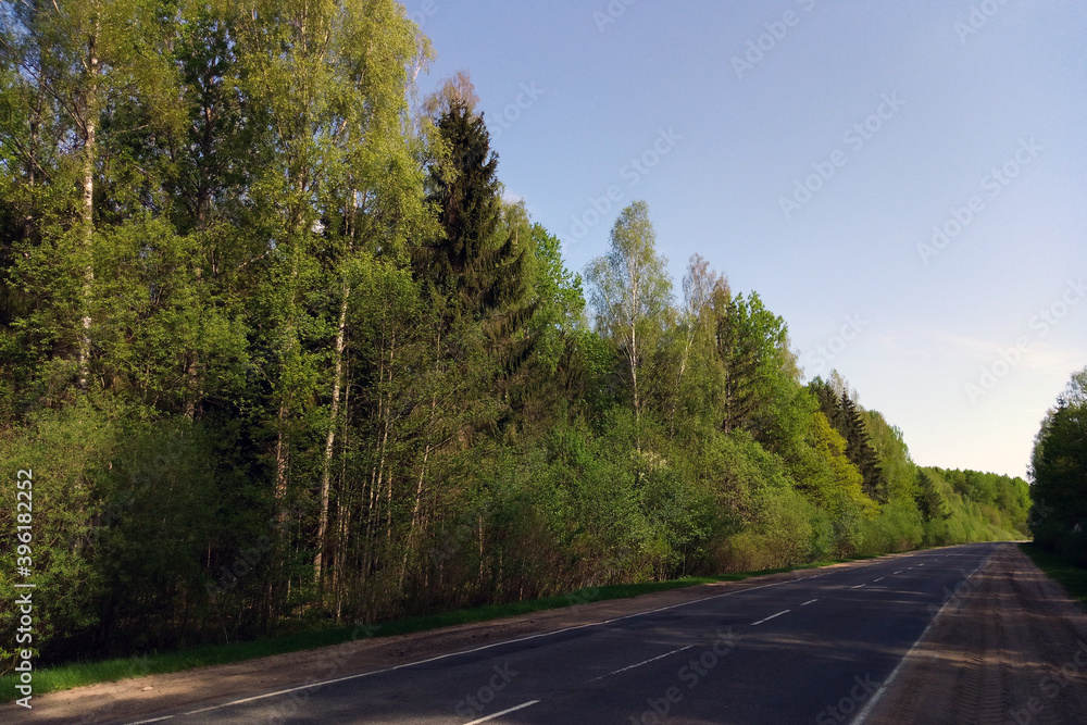 Fototapeta premium Beautiful view of the road surrounded by green trees.