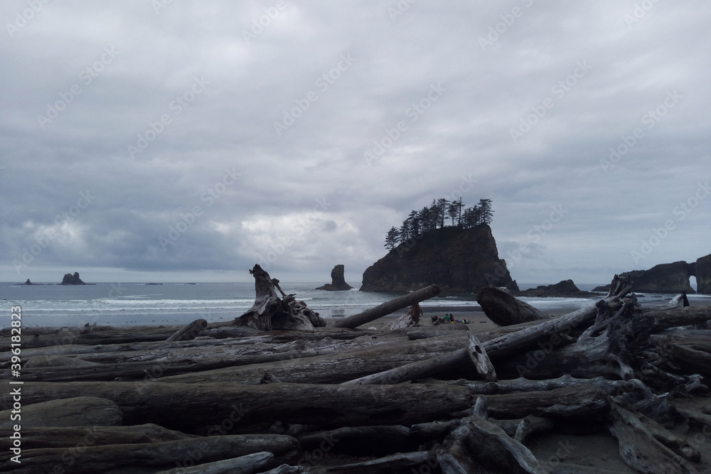 Beautiful Pacific Coast in the Olympic National Park.
