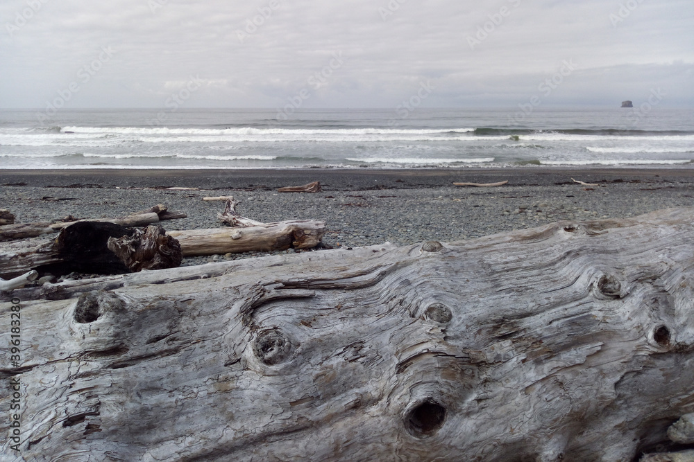 Rock Formations at Olympic National Park. USA Rock Formations at Olympic National Park. USA