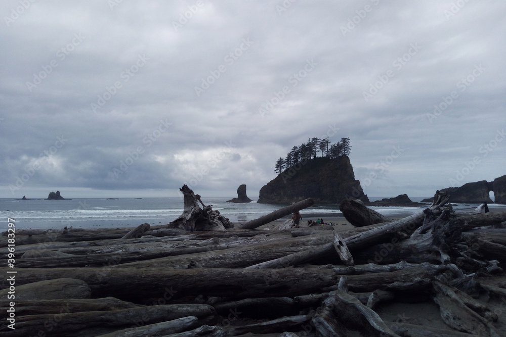 Rock Formations at Olympic National Park. USA