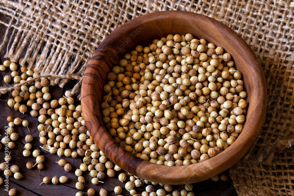 Coriander Coriander