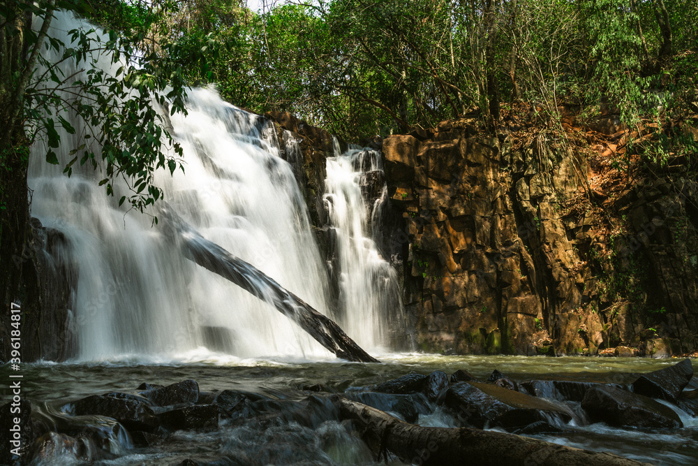 Obraz premium waterfall in the woods