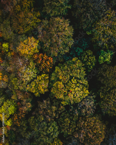 Aerial photography of Aarhus forrest