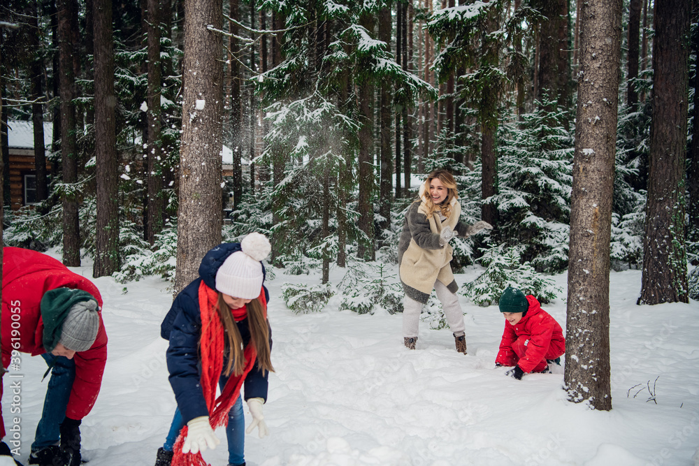 A large family walks in the woods in winter and throws snowballs at each other.