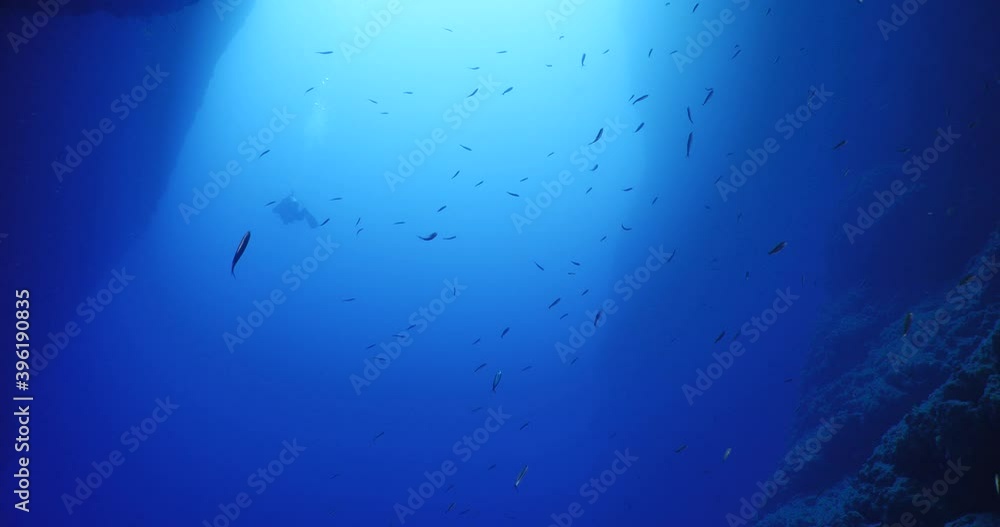 scuba divers exploring the reefs and underwater with rocks ocean scenery scuba divers exploring the reefs and underwater with rocks ocean scenery