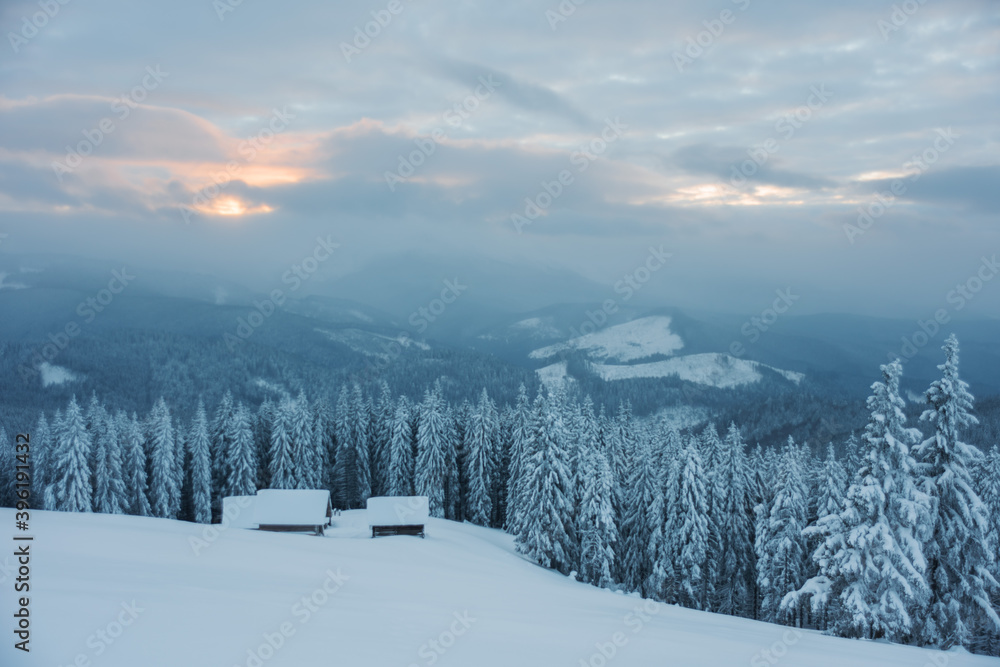 Wonderful winter in the Ukrainian Carpathian Mountains with snow-covered houses and spruce around