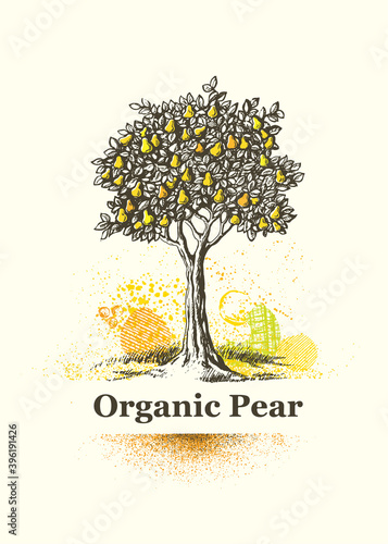 Organic Pear Tree Sign. Fresh Local Farm Fruit Artistic Illustration