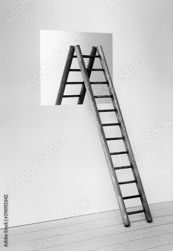 Принти на полотні Still life images
