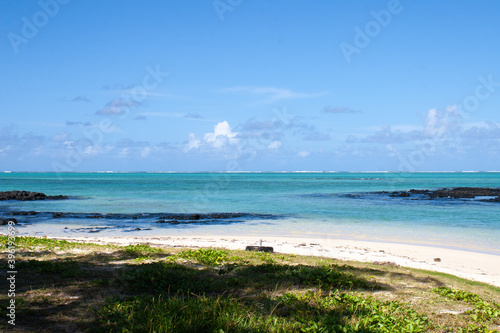 Mauritius island  Beach with turquoise lagoon  coral reef