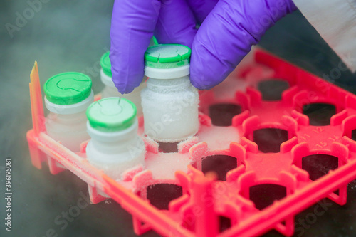 Canvas-taulu Hand with medical glove holding a bottle vaccine from ice storage
