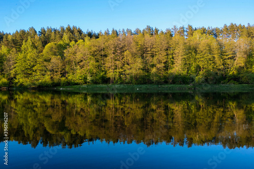 Fototapeta Naklejka Na Ścianę i Meble -  Beautiful river with a forest, the reflection of trees in the water, smooth calm surface of the water without waves.