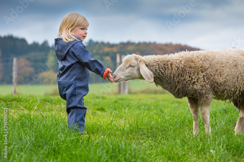 Deutschland, Bayern, Allgäu, Mindelheim, kleines Mädchen auf der Weide mit Schaf photo
