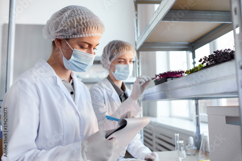 Portrait of two female scientists examining plant samples while working in biotechnology lab and writing on clipboard, copy space
