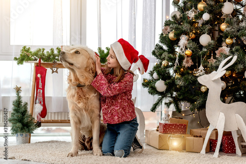 Little girl putting santa hat on dog