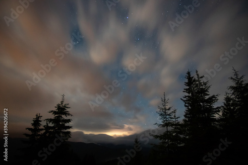 Trees in the mountains against the background of the starry sky © onyx124