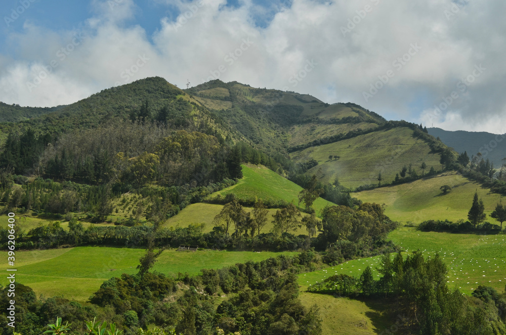 Mountain Agriculture Landscape in Ecuador