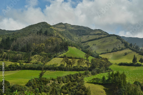 Mountain Agriculture Landscape in Ecuador