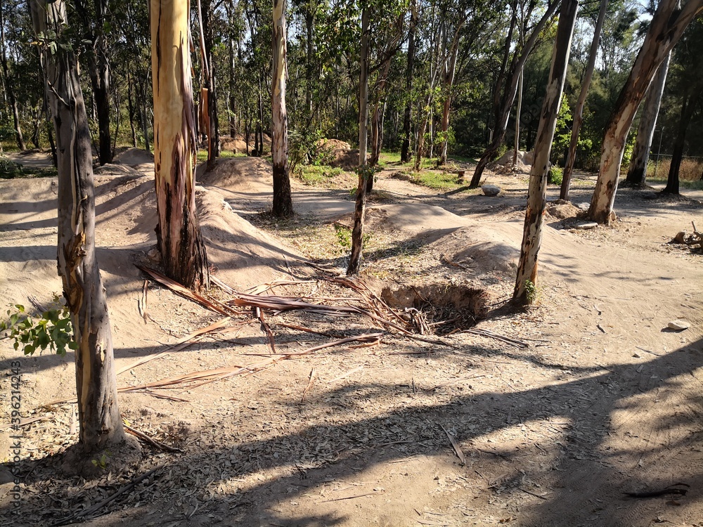 Bosque El Centinela Slalom Bosque El Centinela Slalom
