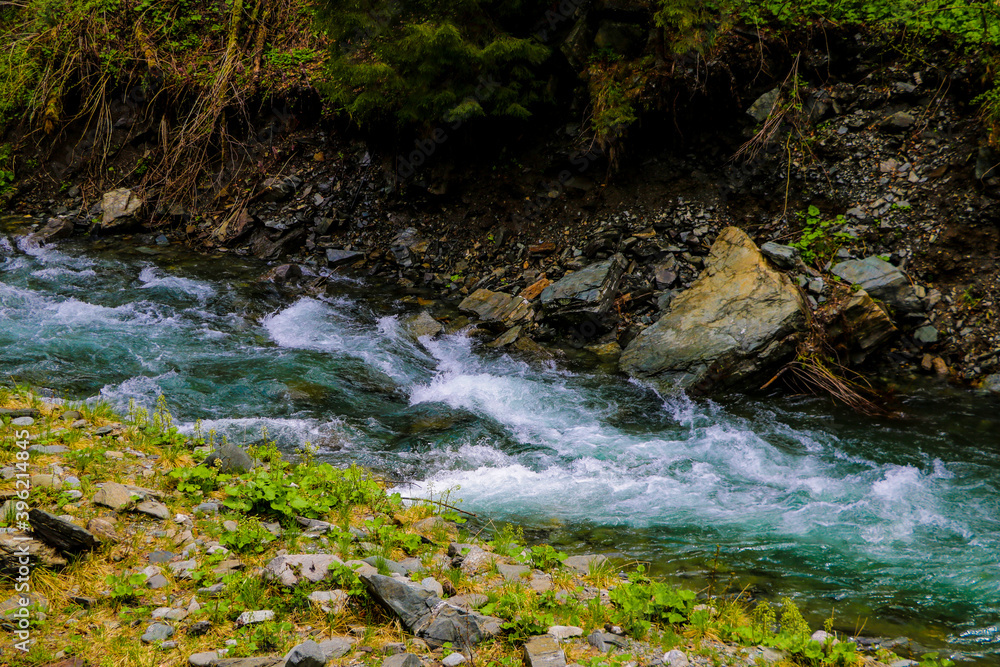 Obraz premium A small mountain cold stream drains quickly from the mountains.