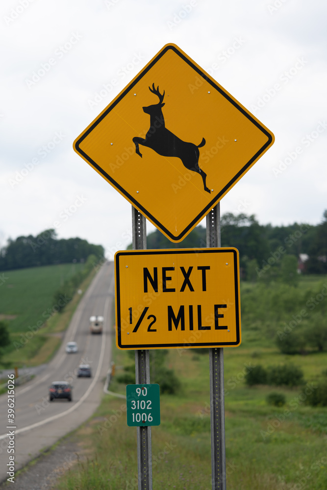 Deer sign on th road.