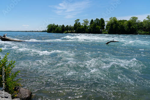 Niagara River, Niagara Fall USA. Powerful strong current o the Niagara River photo