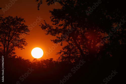 Sonnenuntergang Krüger Park Südafrika / Sundown Kruger Park South Africa /