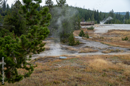 Seismograph Pool, located in the West Thumb Geyser Basin in Yellowstone National Park