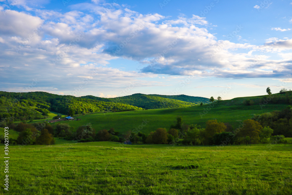 Plakat Scenic panoramic view of rolling countryside green farm fields with sheep, cow and green grass.