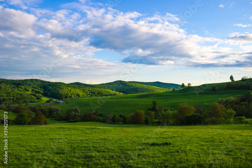 Scenic panoramic view of rolling countryside green farm fields with sheep, cow and green grass.