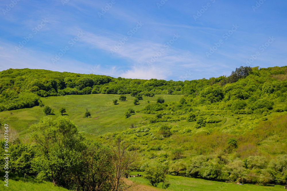 Green grass field on small hills and blue sky with clouds.