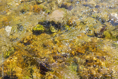 Clear cold mountain water in a stream, background, selective focus.