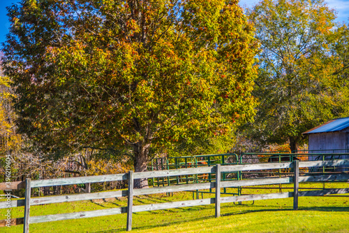 Rural country farmland in the Georgia Fall