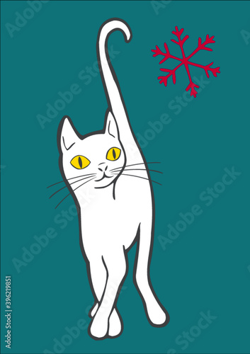 Gato branco