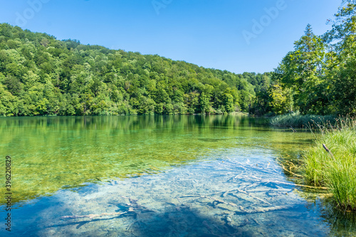 Landscape of the forest and the colorful lake in Plitvice National Park  Croatia